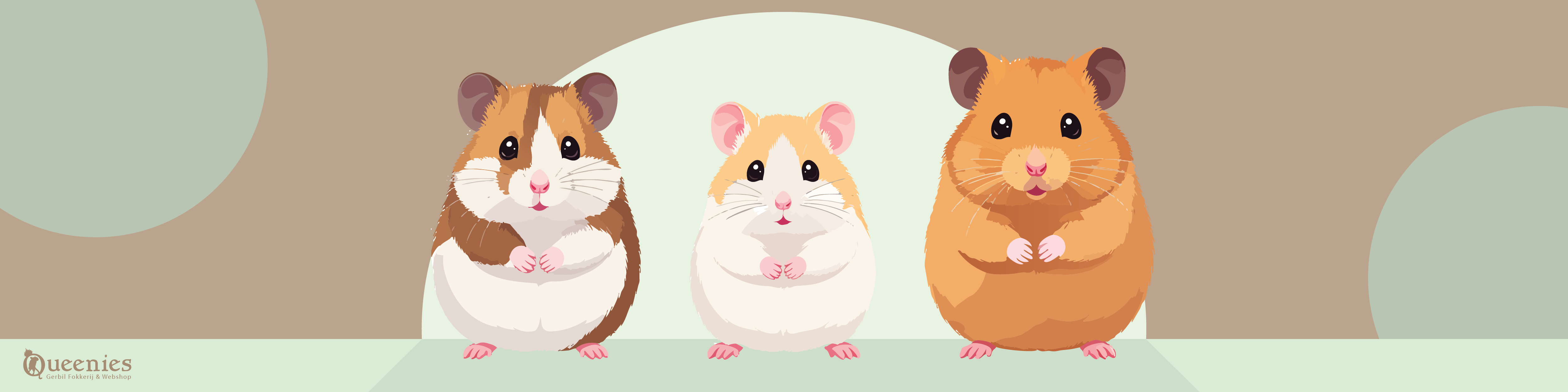 Blog uitleg over hamsters